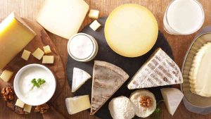 trakya-aslan-dogal-sut-ve-peynir-urunleri 2